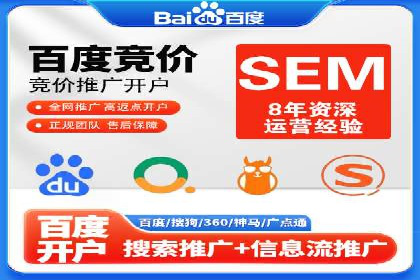 百度竞价与搜索引擎优化（SEO）的协同效应案例
